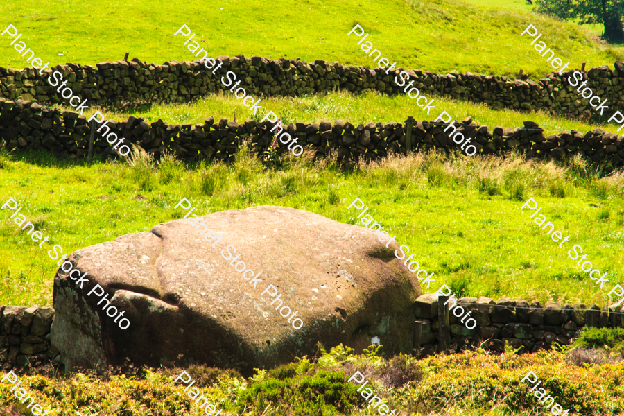A large rock or boulder on a grass field stock photo with image ID: fdfb53dd-7b24-4ded-b9a8-14cb89bd6ea5