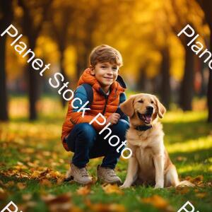 A Boy with a Dog on Park stock photo with image ID: 4068c5da-53e1-4616-ac33-6d2b4a46c0be