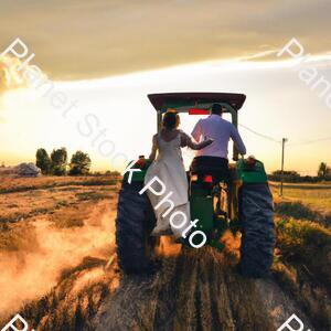 A Newly Married Couple Driving a Tractor Through the Grain Field Towards the Horizon at Sunset stock photo with image ID: e2d362b3-103e-4bdb-accb-444e6fe0c009