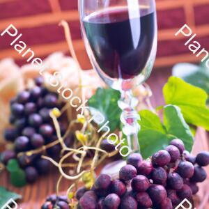 Wine stock photo with image ID: 55d48ee3-b7a4-4671-93ce-cd37da8c0250