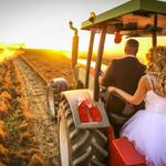 A Newly Married Couple Driving a Tractor Through the Grain Field Towards the Horizon at Sunset