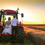 A Newly Married Couple Driving a Tractor Through the Grain Field Towards the Horizon at Sunset