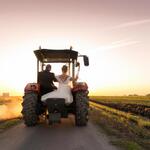 A Newly Married Couple Driving a Tractor Through the Grain Field Towards the Horizon at Sunset