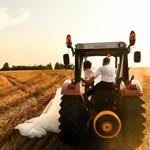 A Newly Married Couple Driving a Tractor Through the Grain Field Towards the Horizon at Sunset