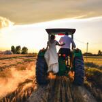 A Newly Married Couple Driving a Tractor Through the Grain Field Towards the Horizon at Sunset