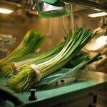 Leek in Operating Room